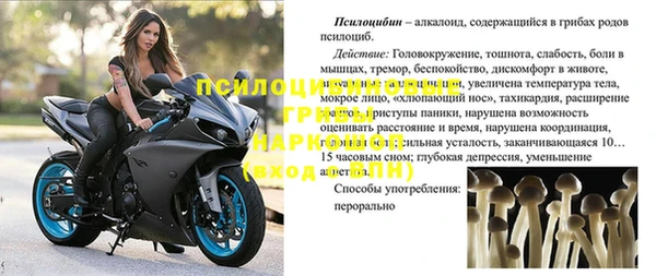 сатива Арсеньев